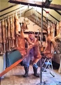 Dave Hallman with a great catch of critters in his Pennsylvania fur shed