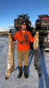 Two male bobcats that John Bowlen caught in Northern Nevada on 12/21/18. 