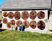 Dave Loughman from Southwestern PA with a nice end of the beaver line photo from 2018.