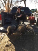 Remington with three coons on his first day trapping in New Mexico 2017.