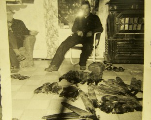 Arnold Abbe with some fur in 1957.