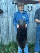Ben Hartman, Drummond Island, with a nice catch using a #330 trap