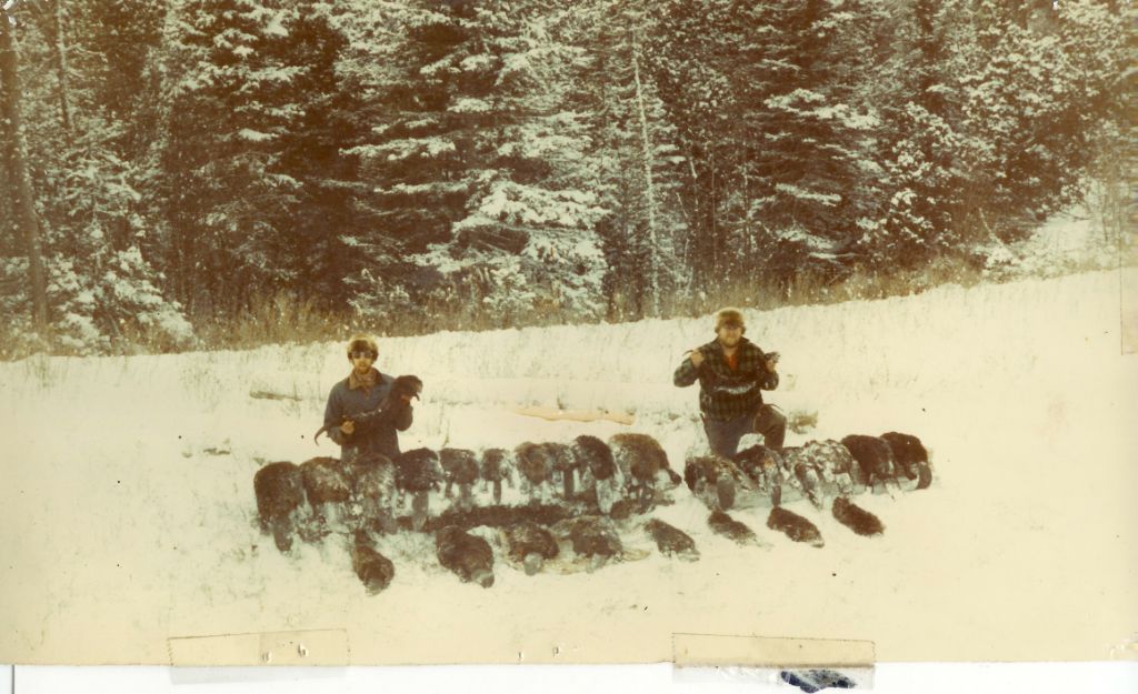 Charley Lane and Gary Dunlap with a fine catch of fur some time back