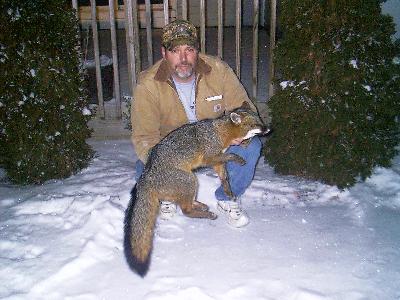 Al Schultz with a Michigan grey fox