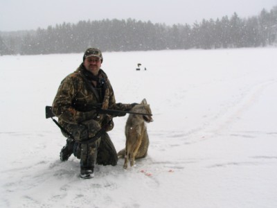 Matt Schroderus killed this coyote while hunting on a lake in Michigan's Upper Penninsula