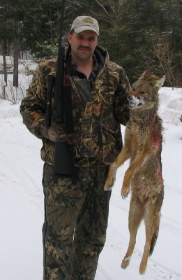 This coyote was taken by Matt Schroderus in Northern Upper Michigan in an old gravel pit in mid March