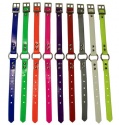 3/4" Ring In Center Day-Glo Collars