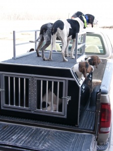 F&T Canine Classics 4-Hole 2-Compartment Rigging Box