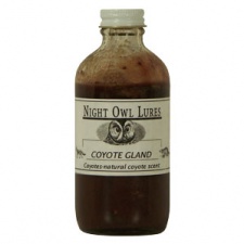 Night Owl Coyote Gland Lure