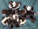 F&T Northern Classics Skunk Fur Teddy Bears