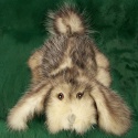 F&T Northern Classics Opossum Fur Hound Puppy
