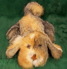 F&T Northern Classics Grey Fox Fur Hound Puppy