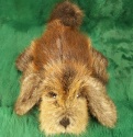 F&T Northern Classics Beaver Fur Hound Puppy