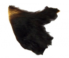 Bear Training Drag