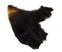 Bear Training Drag