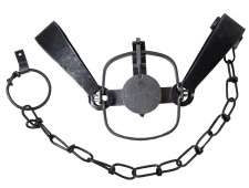 #11 Newhouse Double Long Spring Trap