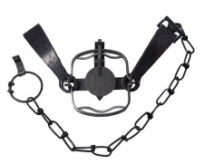 #11 Newhouse Double Long Spring Trap (Double Jaw)