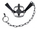 #11 Blake & Lamb Double Long Spring Trap (Double Jaw)