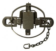 #4 Montgomery Dogless Coil Spring Trap