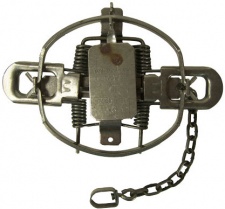 #4 Montgomery Dogless Coil Spring Trap (4 Coiled)