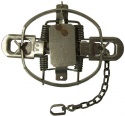 #4 Montgomery Dogless Coil Spring Trap (4 Coiled)