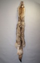 Coyote (B Grade)