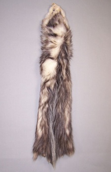 Opossum (B Grade)