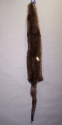 Otter (B Grade)