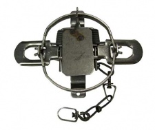 #2 Montgomery Dogless Coil Spring Trap