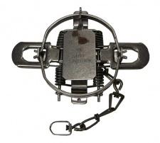 #2 Montgomery Dogless Coil Spring Trap (4 Coiled)
