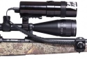 CoyoteLight Original LED Light