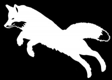 Pouncing Fox Decal