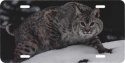 Bobcat License Plate