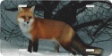 Red Fox License Plate