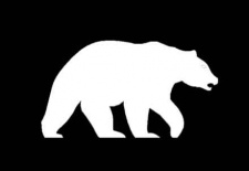 Bear Decal
