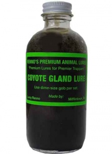 Renno's Coyote Gland Lure