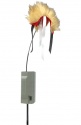 FoxPro X-Decoy