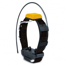 Dogtra Pathfinder 2 RX GPS Tracking & Training Collar