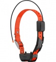 Garmin Alpha TT 25 Tracking and Training Collar
