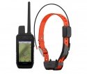 Garmin Alpha 300 Handheld & Alpha TT 25 Tracking and Training Collar Bundle