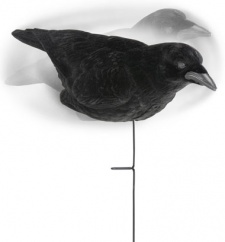 Lucky Duck Crow Decoy 3 Pack