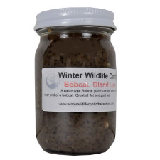 Winter's Bobcat Gland Lure