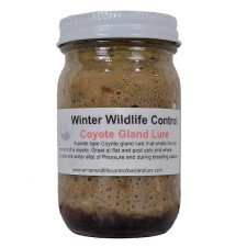 Winter's Coyote Gland Lure