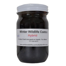 Winter's Hybrid Lure