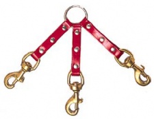 Day-Glo Couplers (3-Dog)